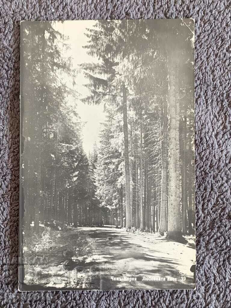 Old travel card-Cham-Koria (Love Alley)-1 Old travel card-Cham-Koria (Love Alley)-1