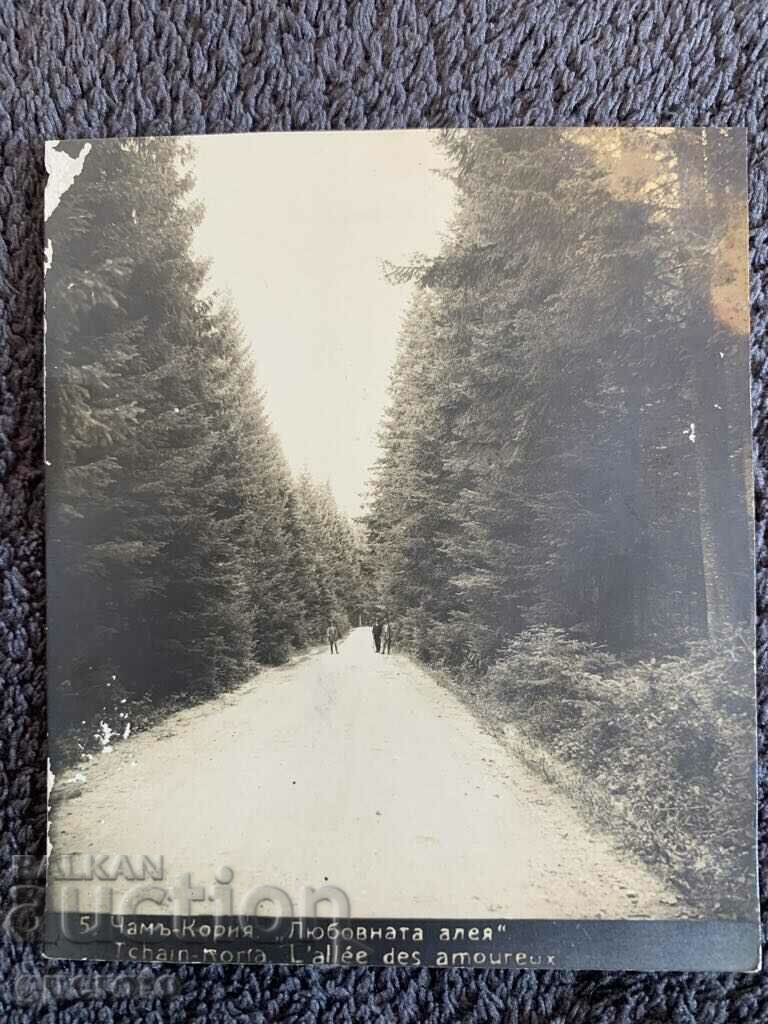 Old travel card-Cham-Koria (Love Alley)-2 Old travel card-Cham-Koria (Love Alley)-2