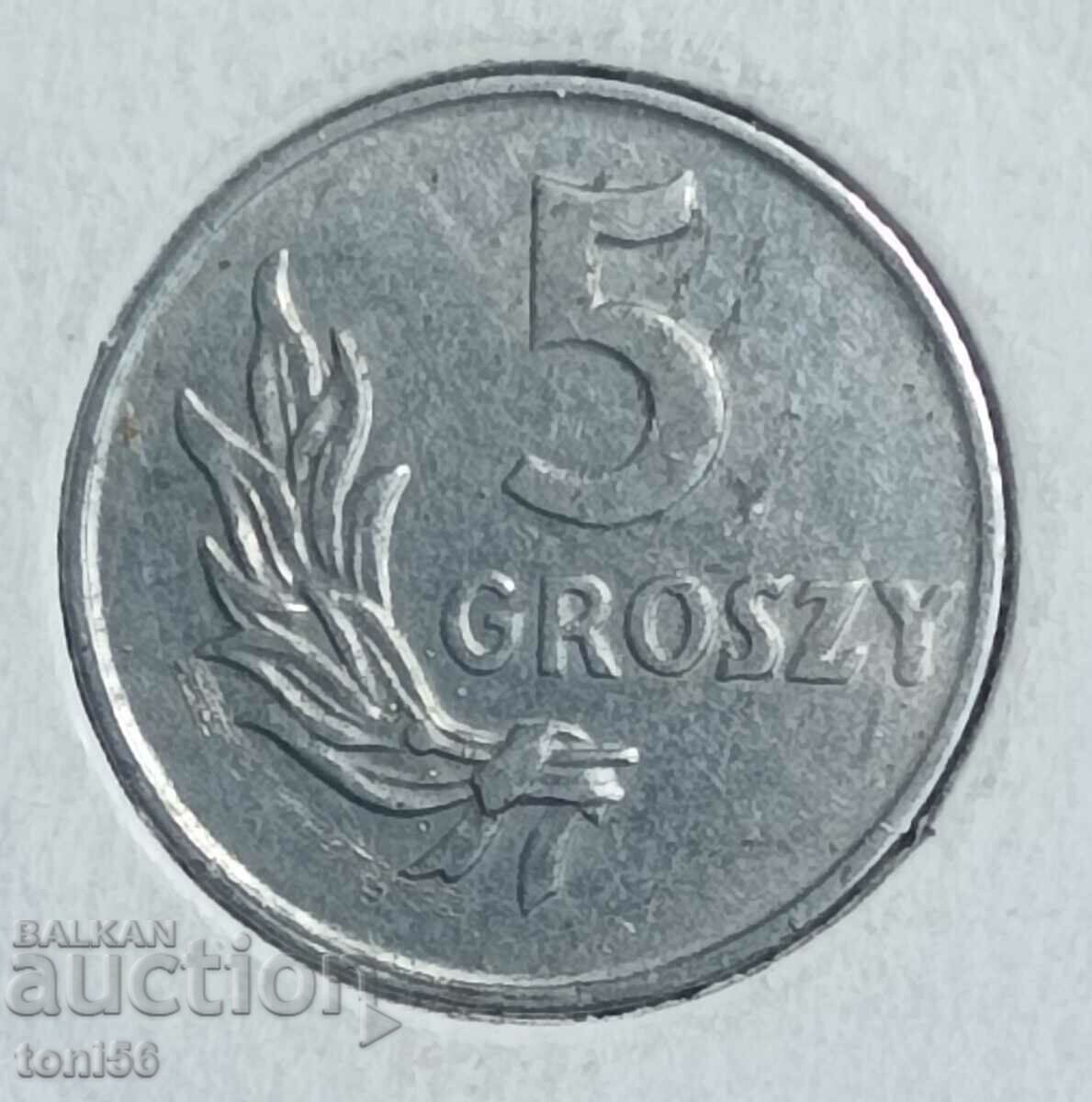 Polonia 5 groszy 1949 Al