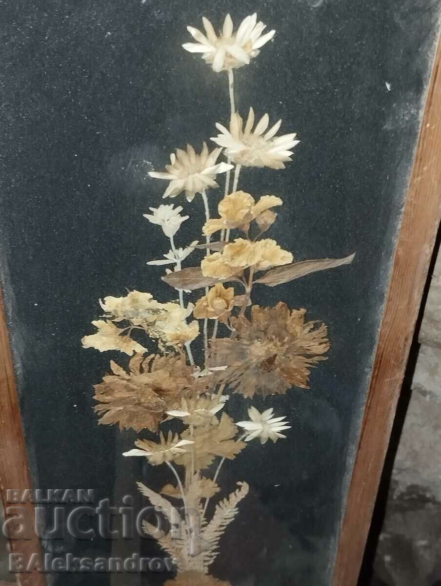 Old painting of dried flowers with price 8.00 BGN | € 4.09 Old painting of dried flowers with price 8.00 BGN | € 4.09