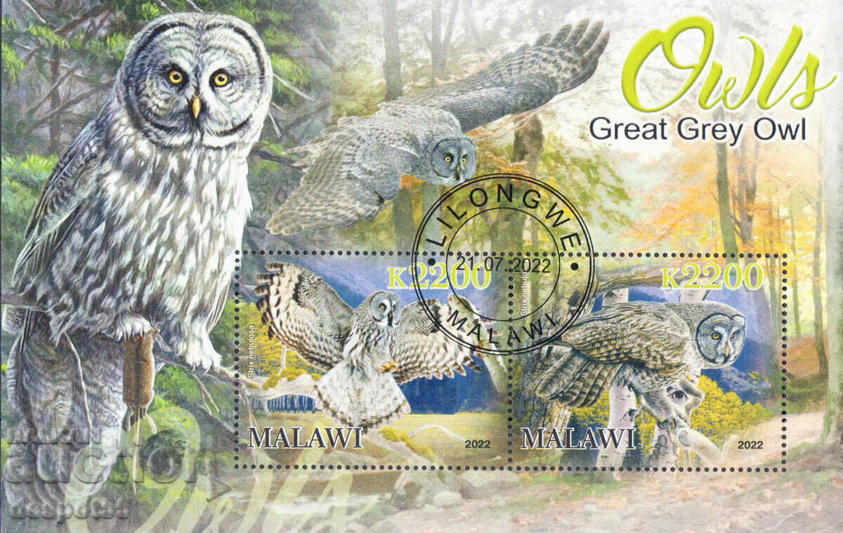 2022 Malawi. Bird - Great Gray Owl. Block. ILLEGAL STAMP.