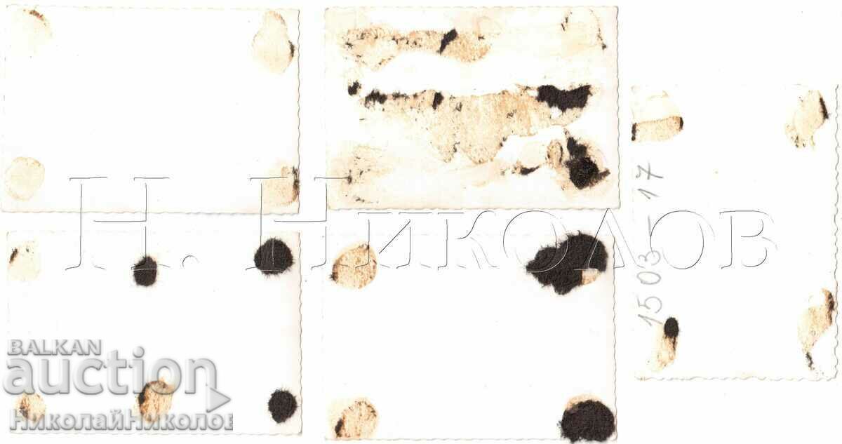 LOT 5x SMALL OLD PHOTOS FUN NEAR THE POOL D033 with price 6.00 BGN | € 3.07