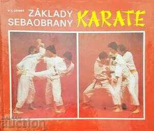 Karate-V. L. Levsky