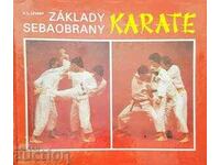 Karate-V. L. Levsky