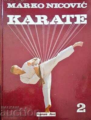 Karate - Marko Nicovic