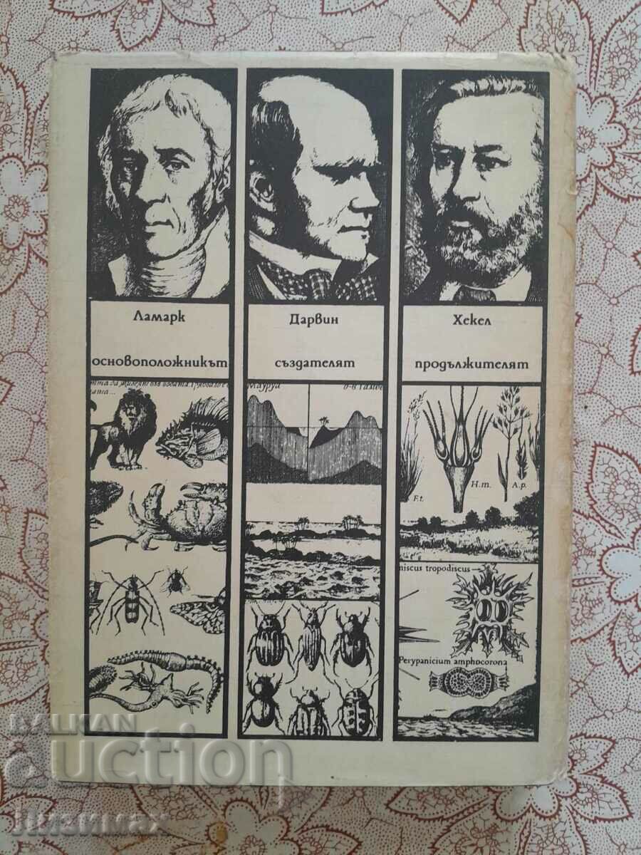 On the way of the Beagle with price 3.00 BGN | € 1.53