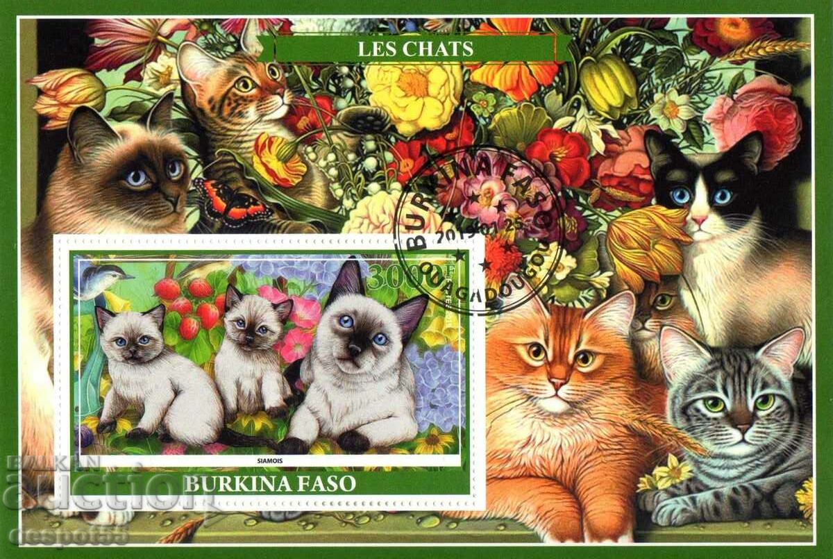 2019. Burkina Faso. Fauna - Cats. Illegal Stamps. Block.