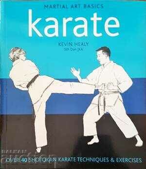 Karate-Kevin Healy