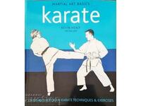 Karate-Kevin Healy