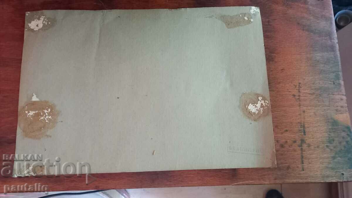 OLD PHOTO SPARTACUS OF LION - 5 OLD PHOTO SPARTACUS OF LION - 5