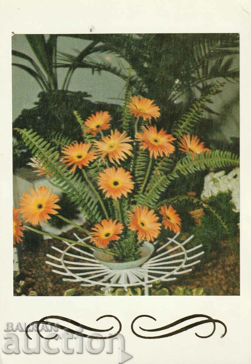 Bulgaria - - Postal card - Flowers