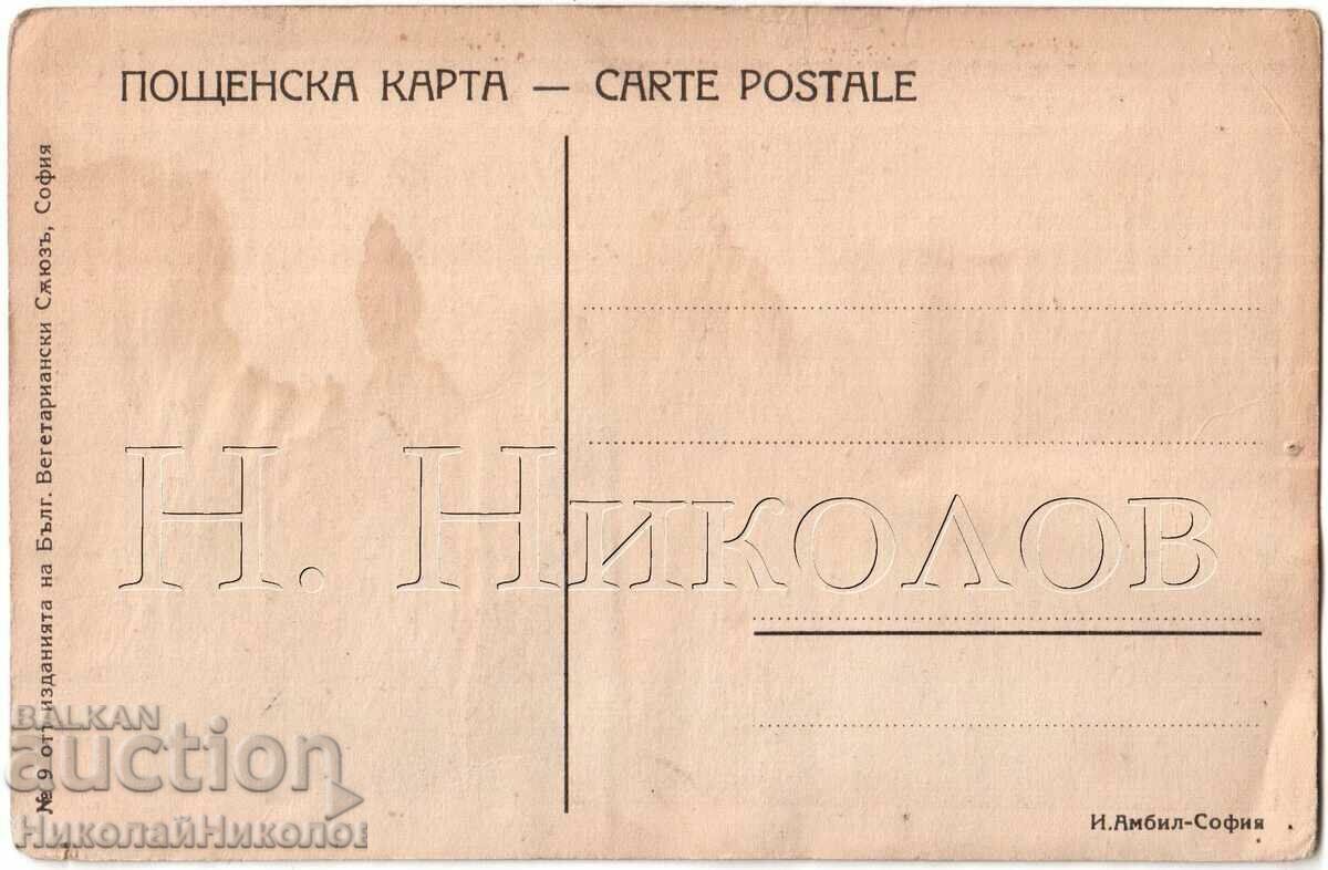 OLD CARD WRITER LEV TOLSTOY VEGETARIAN D062 with price 3.00 BGN | € 1.53 OLD CARD WRITER LEV TOLSTOY VEGETARIAN D062 with price 3.00 BGN | € 1.53