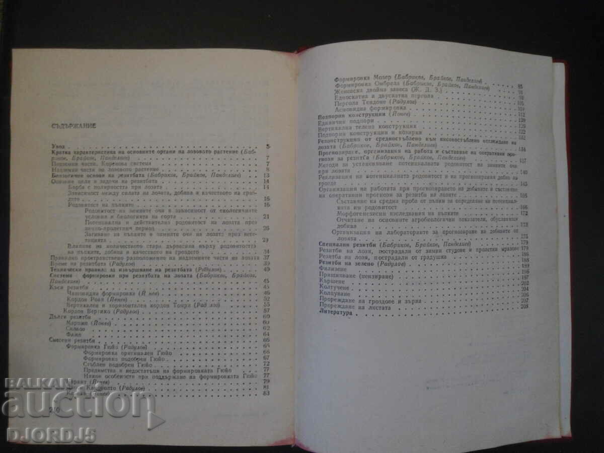Auction  Vine pruning and yield forecasting
