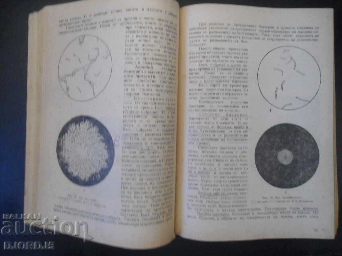 MICROBIOLOGY of milk and milk products - 6 MICROBIOLOGY of milk and milk products - 6