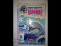 My friend the dolphin