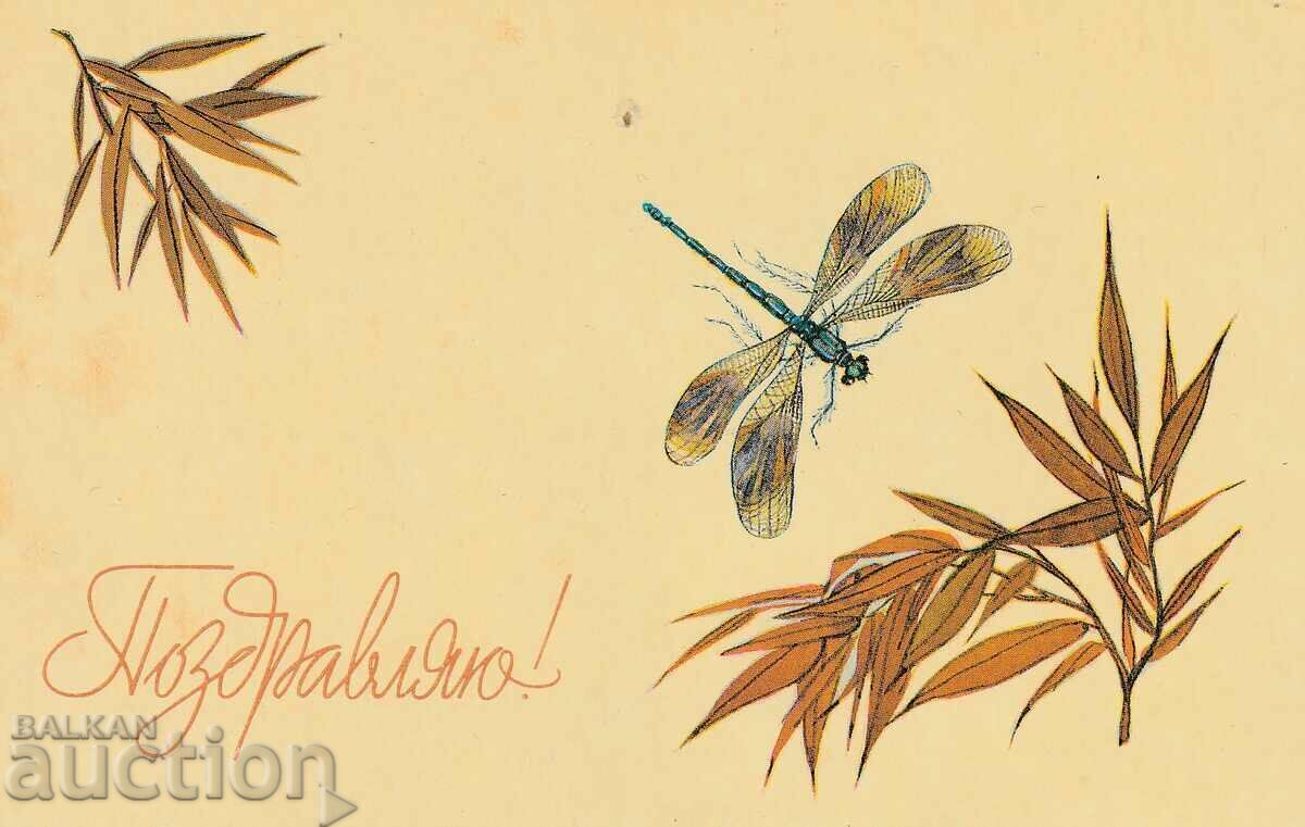 USSR/Russia/ - Greeting postcard