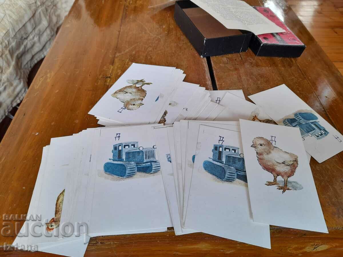 Auction Old teaching aid Subject Pictures Auction Old teaching aid Subject Pictures