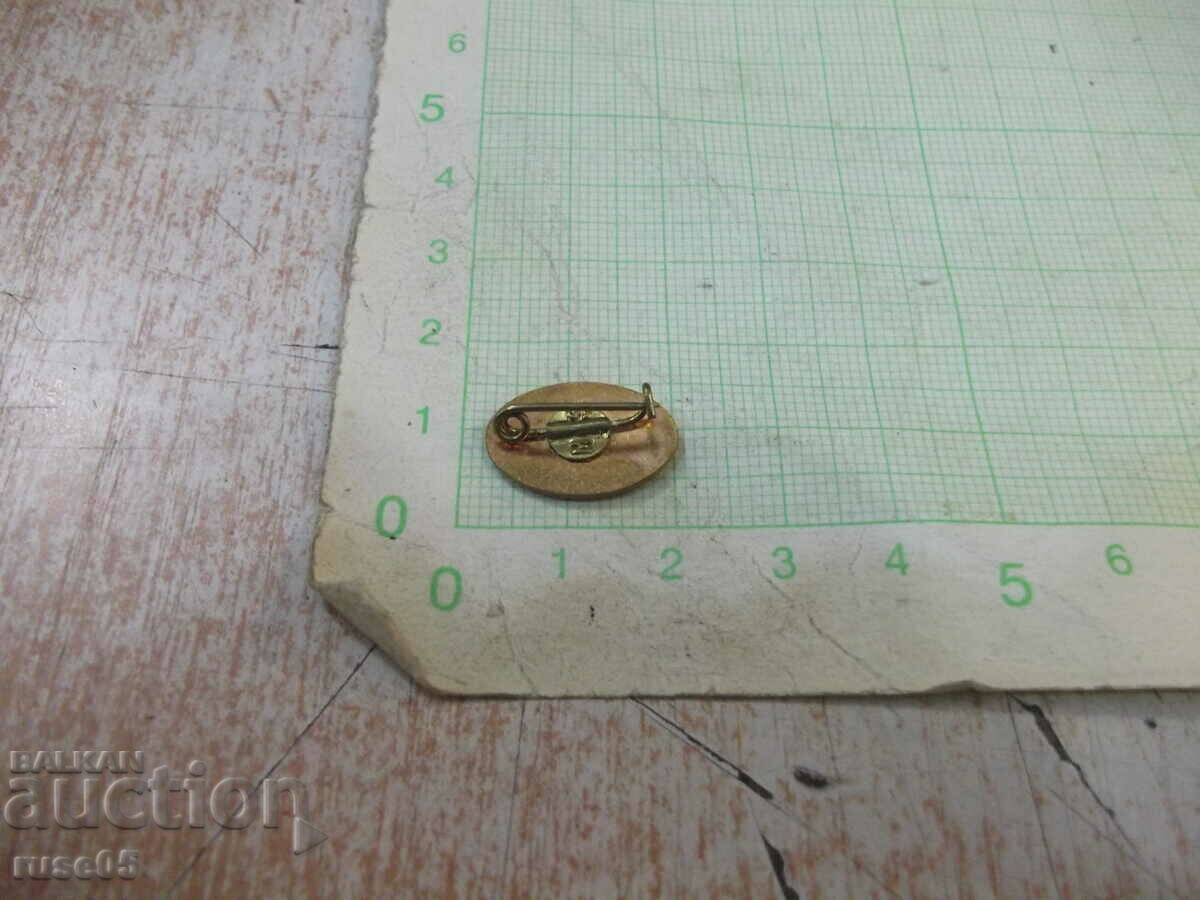 Auction Badge "ASOCIATIA JURISTILOR DIN REPUBLICA SOCIALISTA ROMANIA" Auction Badge "ASOCIATIA JURISTILOR DIN REPUBLICA SOCIALISTA ROMANIA"