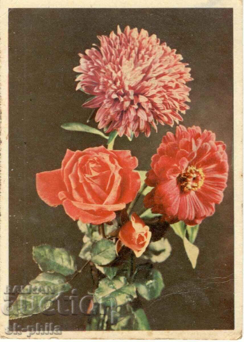 Carte veche - Flori - Buchet