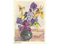 Old card - Flowers, Vase with irises