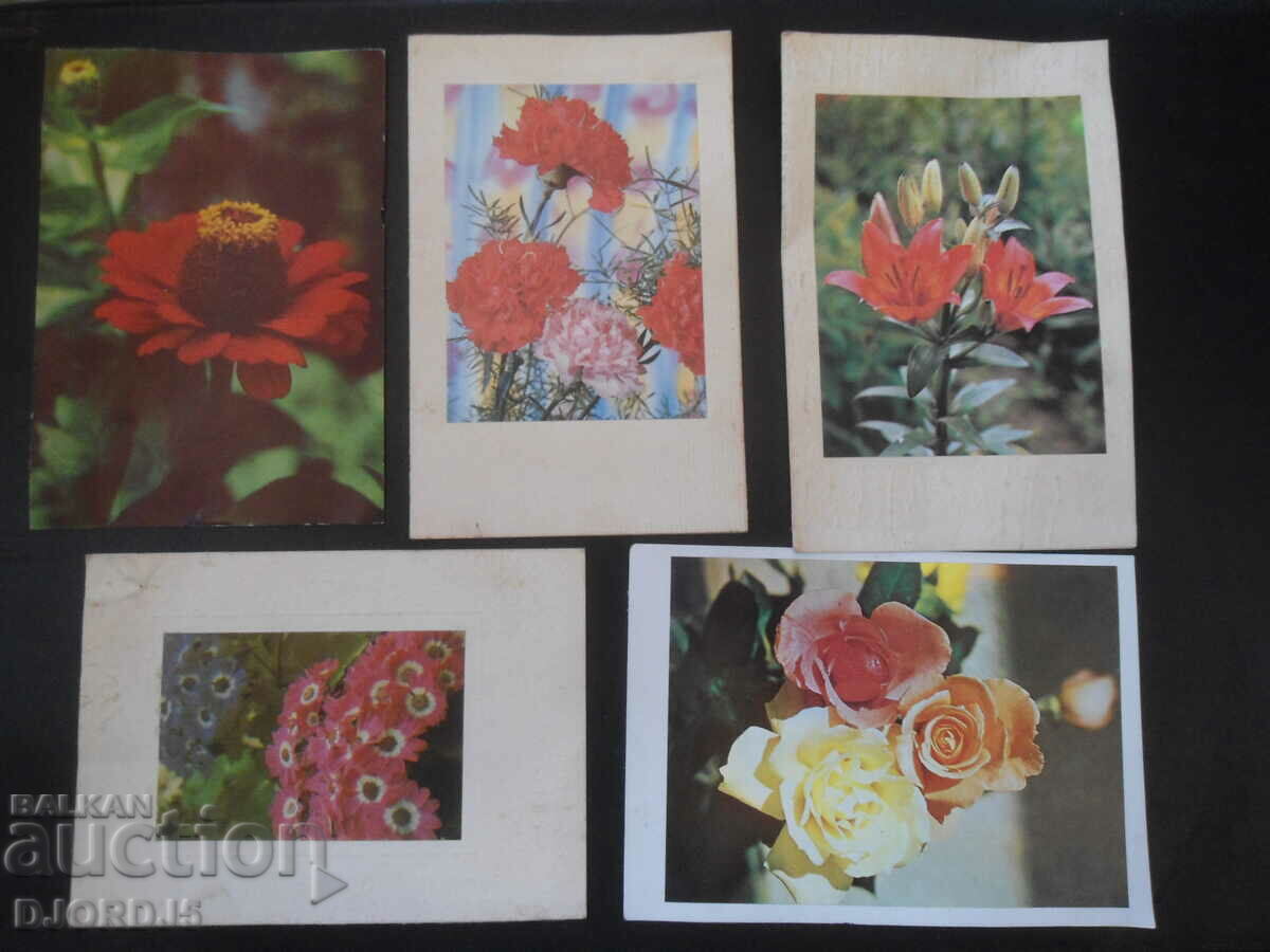 Old greeting cards, 9 pieces with price 3.00 BGN | € 1.53 Old greeting cards, 9 pieces with price 3.00 BGN | € 1.53