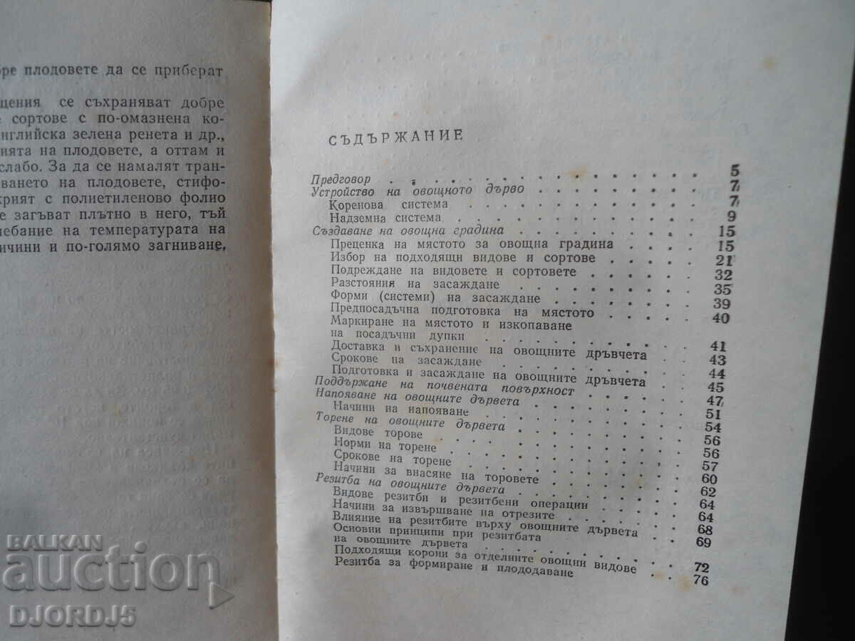 Small orchard with price 2.00 BGN | € 1.02 Small orchard with price 2.00 BGN | € 1.02