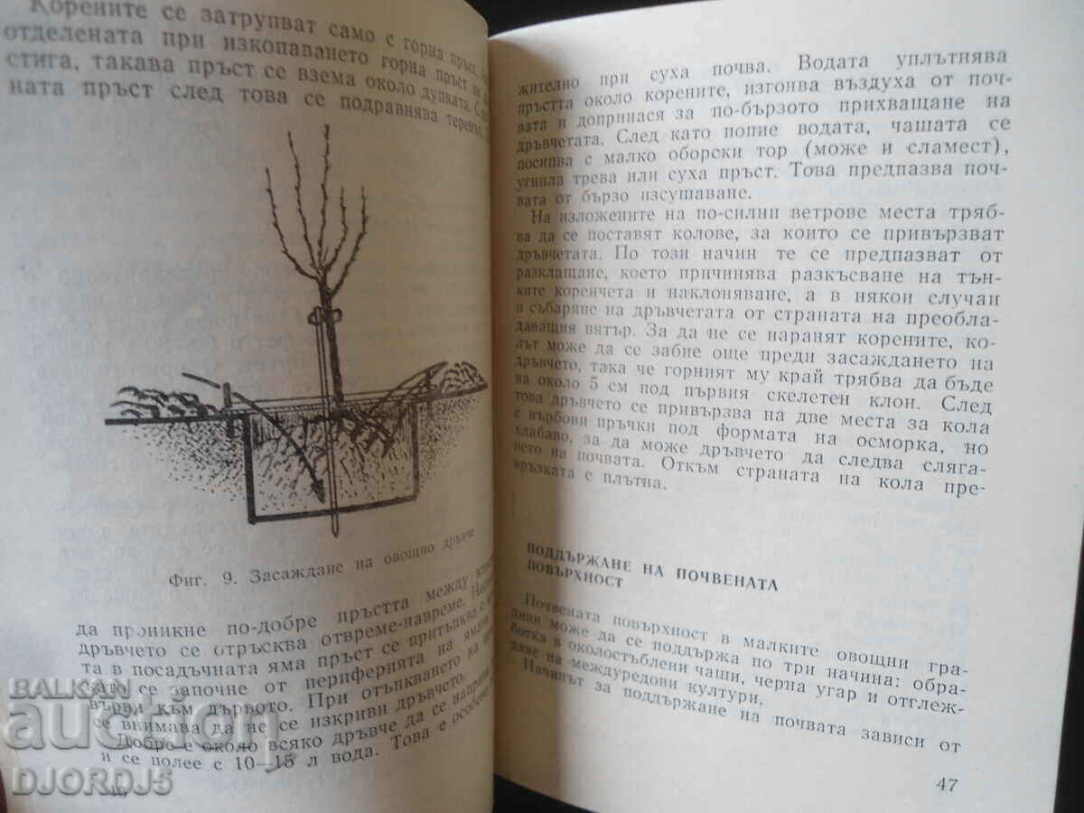 Delivery of Small orchard Delivery of Small orchard