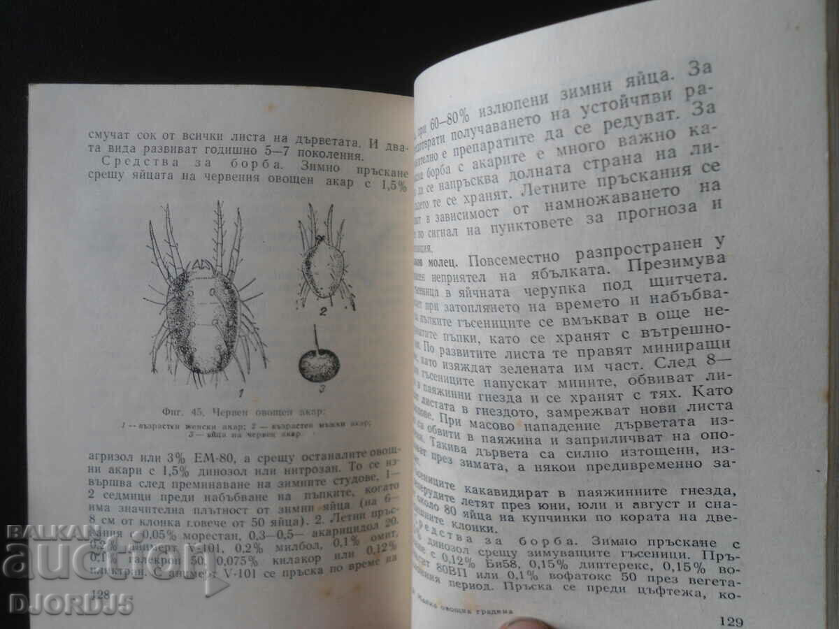 Small orchard - 6 Small orchard - 6