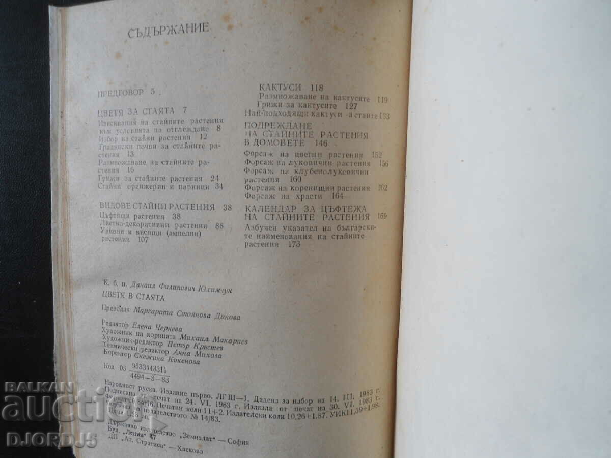 Flowers in the room with price 1.00 BGN | € 0.51 Flowers in the room with price 1.00 BGN | € 0.51