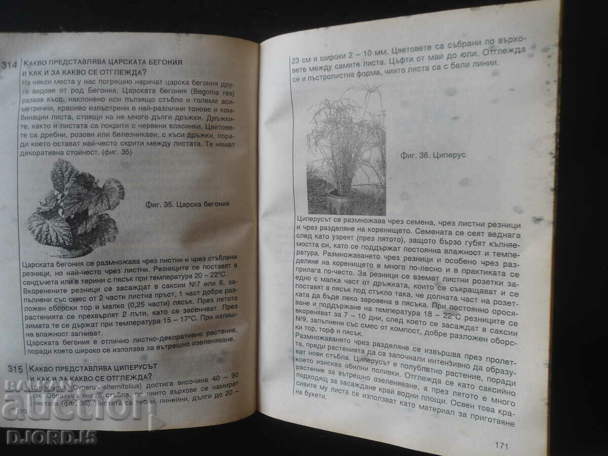 Delivery of 474 FLORISTIC tips Delivery of 474 FLORISTIC tips