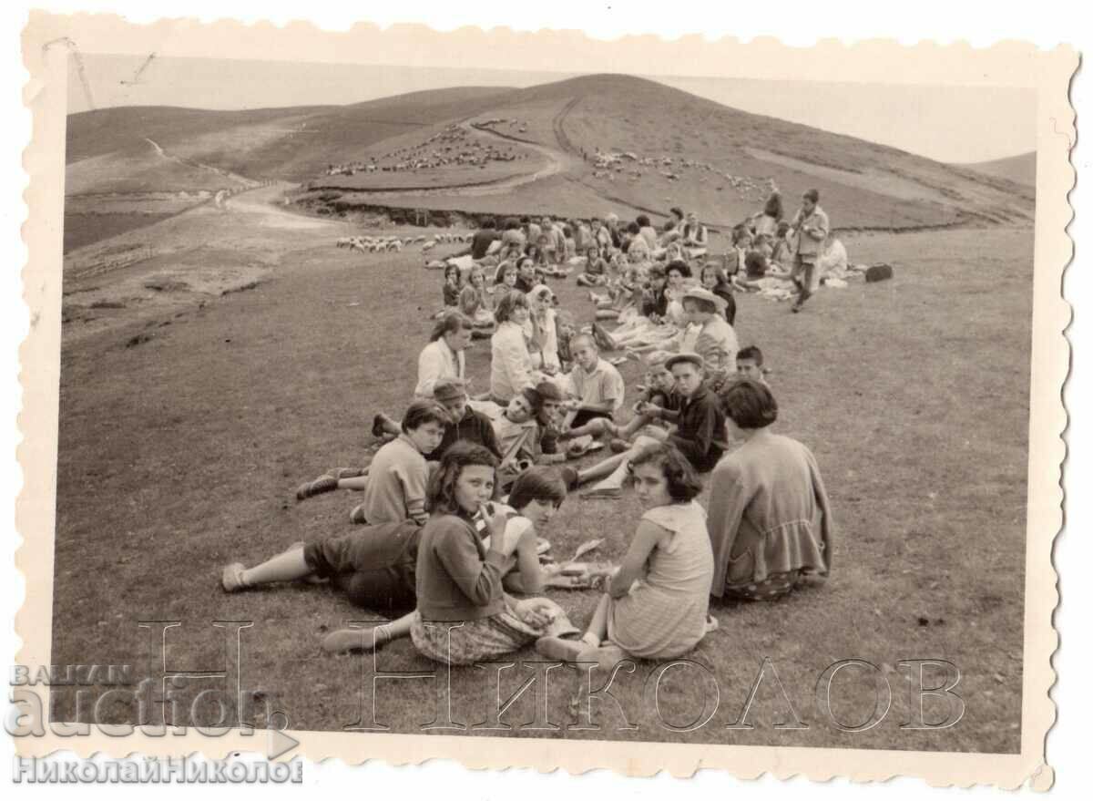 1960 PICNIC DE TABĂRĂ FOTO MICI VECHI LÂNĂ TROYAN D076