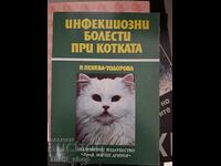 Инфекциозни болести при котката