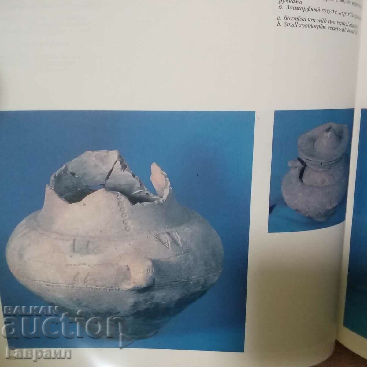 A book with price 20.00 BGN | € 10.23 A book with price 20.00 BGN | € 10.23