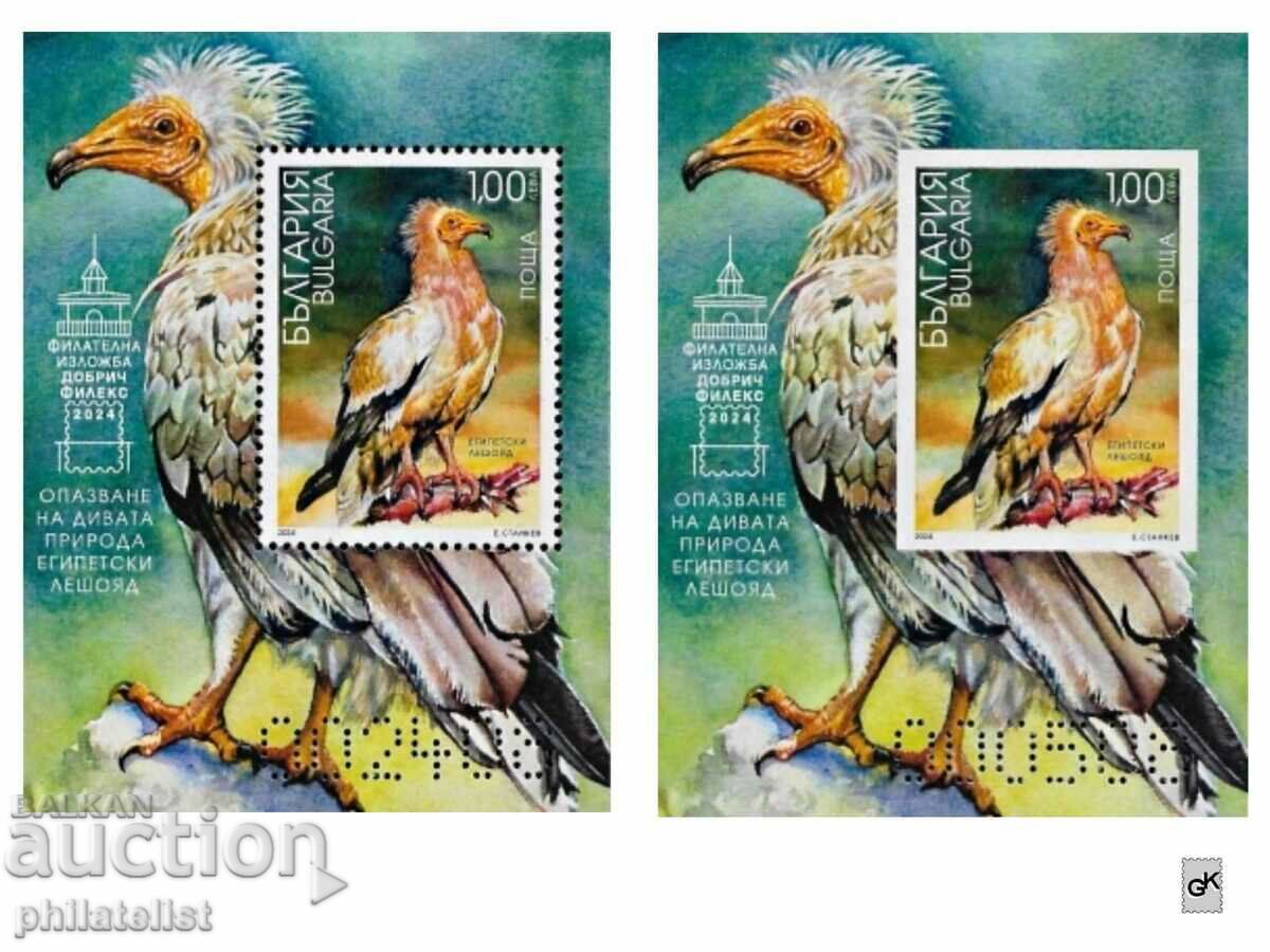 Bulgaria 2024 - Vultur egiptean - 2 blocuri MNH