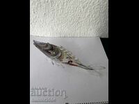 Fish-38 cm, glass