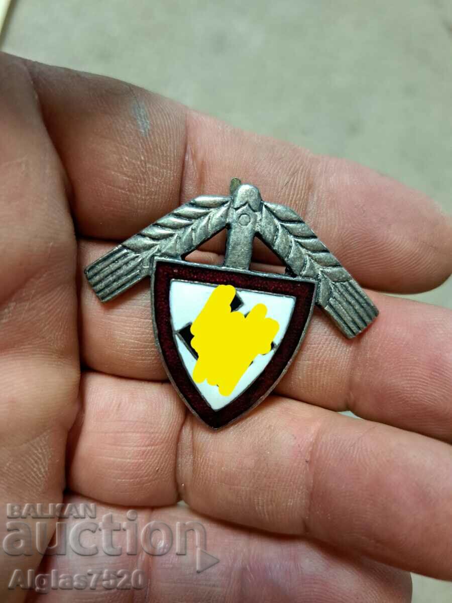 Nazi swastika badge