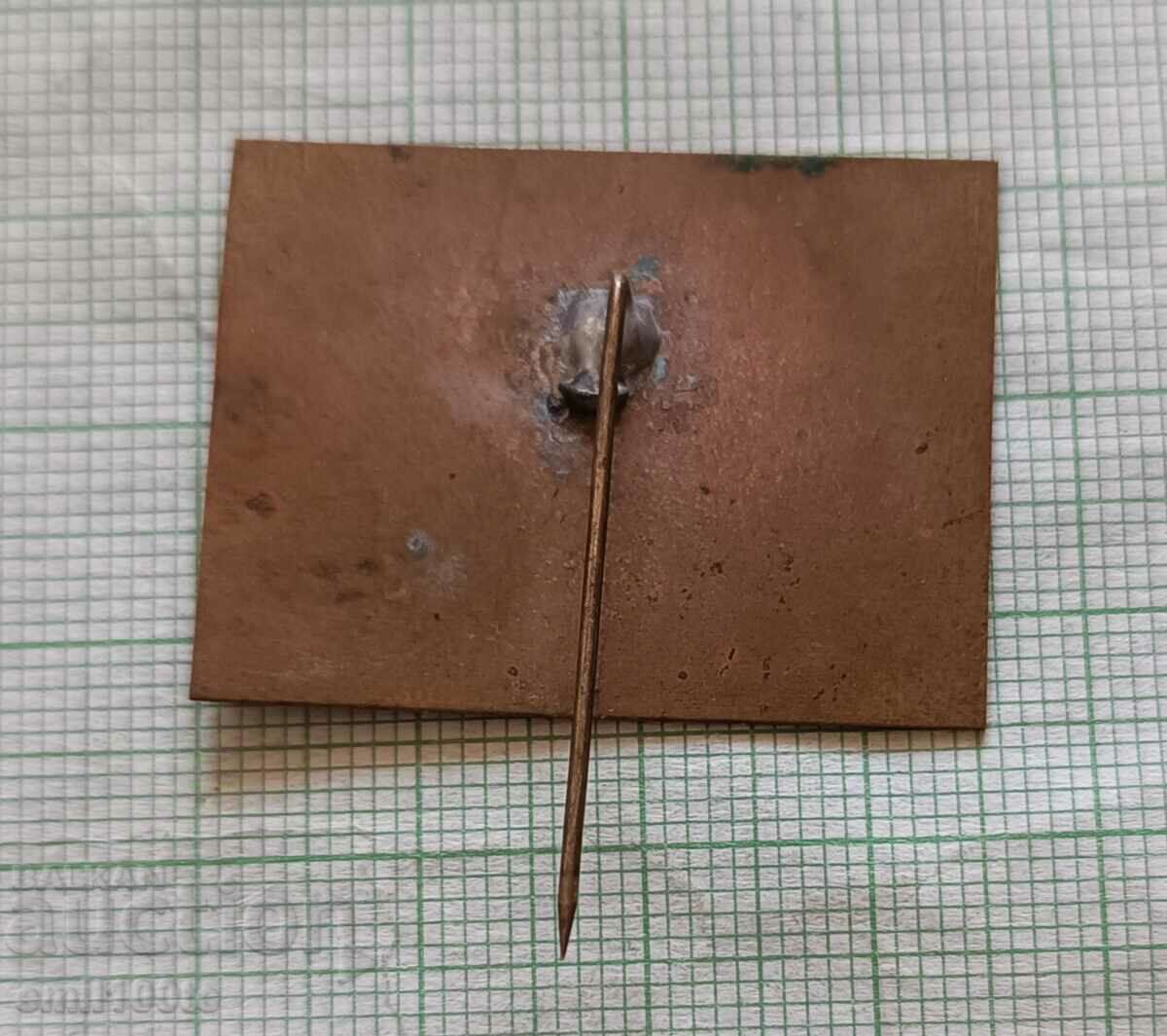 Παράδοση Σήμα - Συνέδριο του Οργανισμού Sofia Komsomol Παράδοση Σήμα - Συνέδριο του Οργανισμού Sofia Komsomol