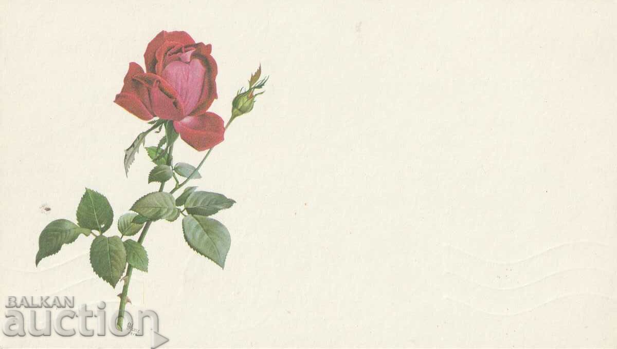 Germany - postcard - with inscription