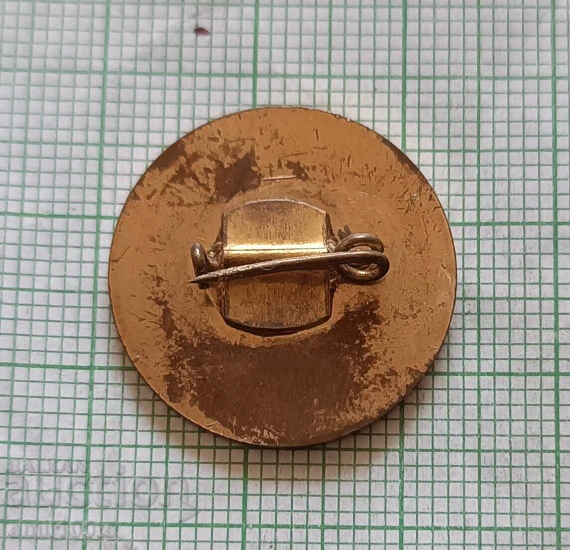 Badge - 1300 years Bulgaria 681 1944 1981 - 5 Badge - 1300 years Bulgaria 681 1944 1981 - 5