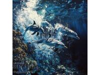 Dolphins. Image ® Studio Perfect Image Ltd.