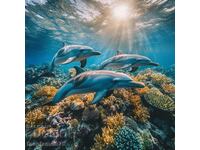 Dolphins. Image ® Studio Perfect Image Ltd.