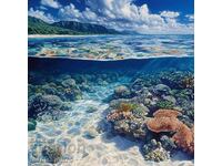 Barrier Reef. Image ® Studio Perfect Image Ltd.