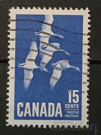 Canada 1963 Fauna/Birds Claimo