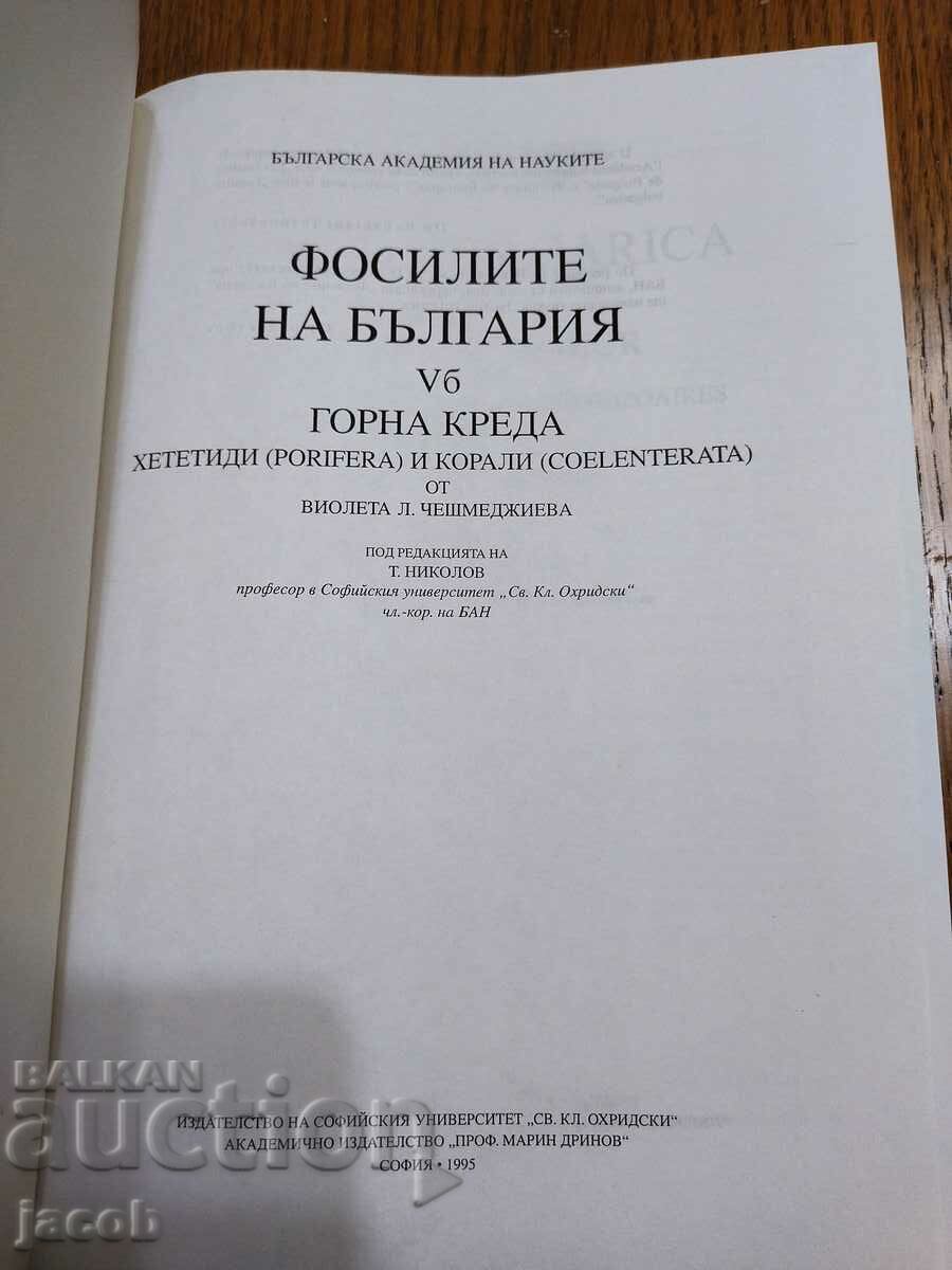 The fossils of Bulgaria V b Upper Cretaceous with price 30.00 BGN | € 15.34 The fossils of Bulgaria V b Upper Cretaceous with price 30.00 BGN | € 15.34