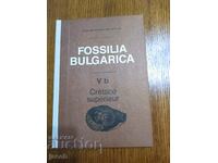 The fossils of Bulgaria V b Upper Cretaceous