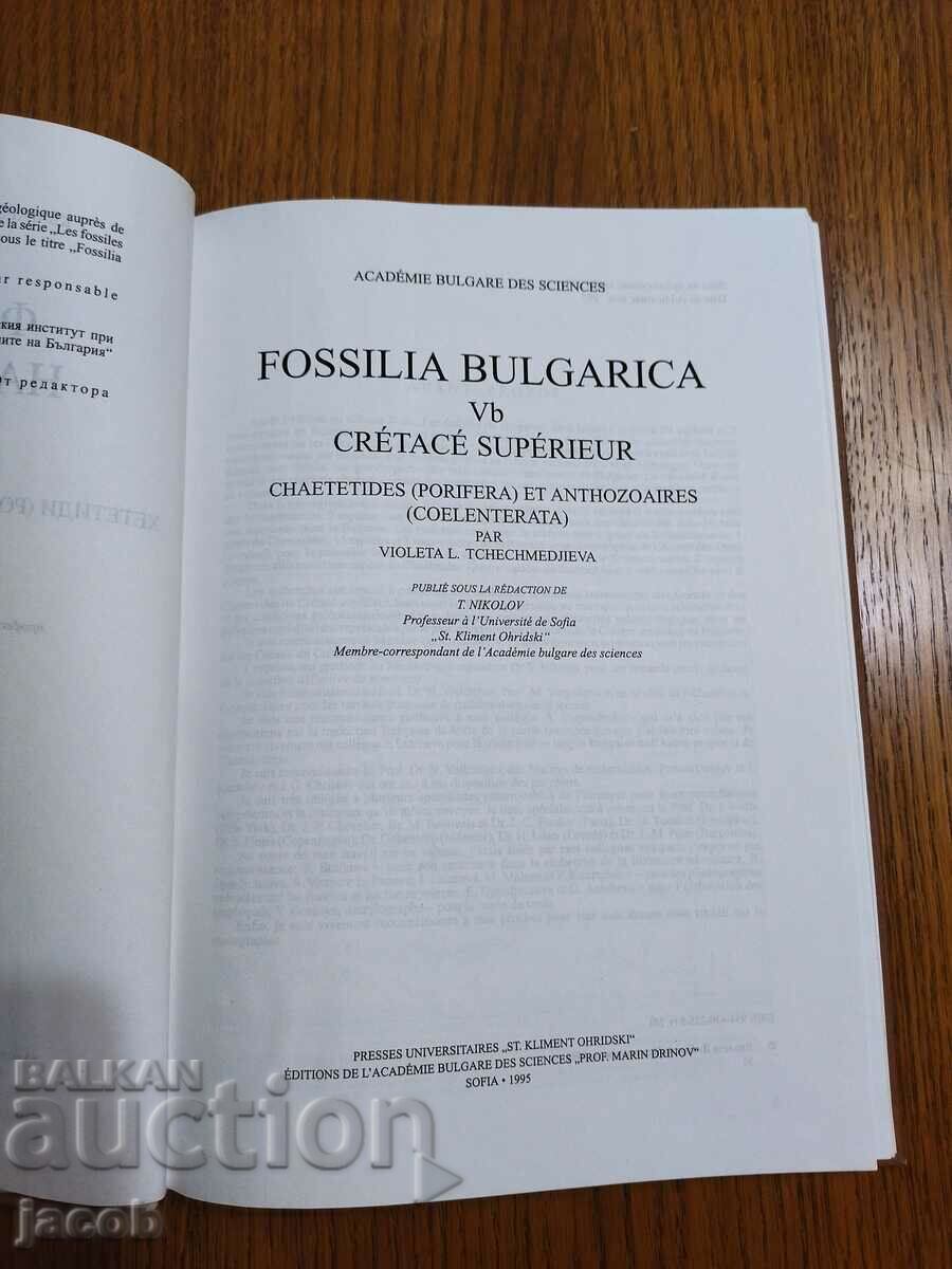 The fossils of Bulgaria V b Upper Cretaceous with price 30.00 BGN | € 15.34 The fossils of Bulgaria V b Upper Cretaceous with price 30.00 BGN | € 15.34