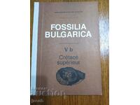 The fossils of Bulgaria V b Upper Cretaceous