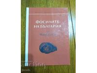 Τα απολιθώματα της Βουλγαρίας VI β Παλαιογένης