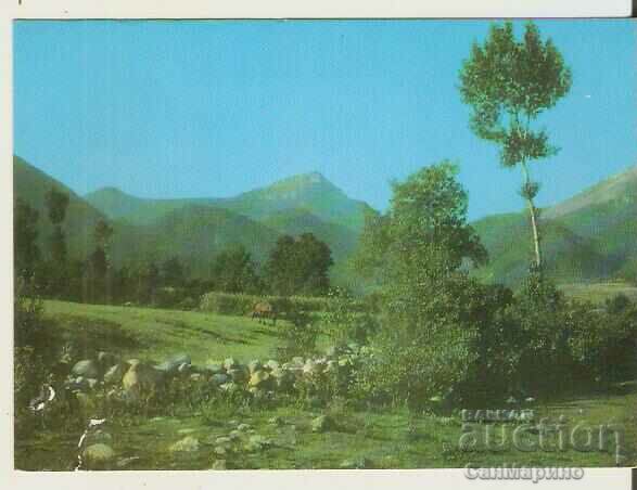 Κάρτα Bulgaria Pirin Todorin peak 1*