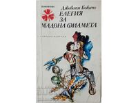 Ελεγεία για τη Μαδόνα Φιαμέτα, Τζοβάνι Μποκάτσιο
